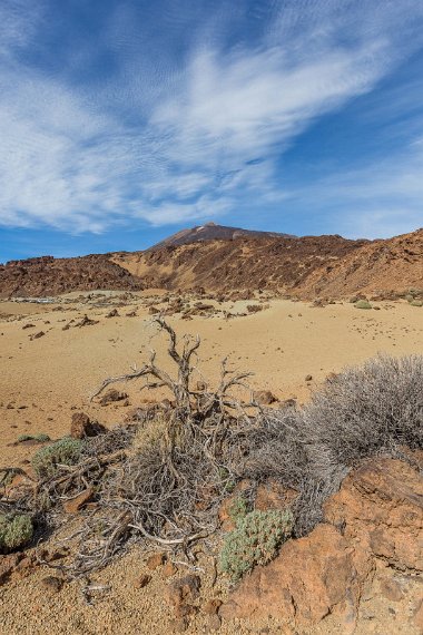 044 Tenerife, NP el Teide.jpg